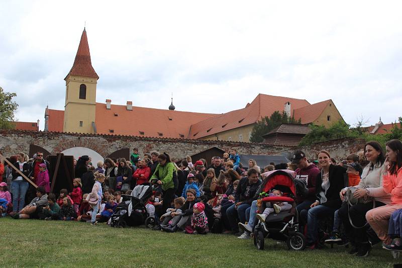 Drezúra fríských koní na Slavnostech pětilisté růže.