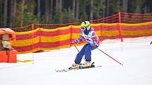 McDonald's Winter Cup 2020, závod ve slalomu pro veřejnost, ve skiareálu Lipno.