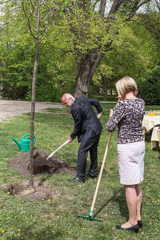 Slavnostní sázení Lípy Olgy Havlové v Českém Krumlově.