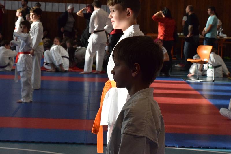 Mikulášský turnaj, poslední z letošní série turnajů Jihočeského svazu japonského karate, pořádal českokrumlovský Shotokan karate klub.