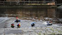 Krumlovští vodní záchranáři si vychutnali tradiční předvánoční plavání ve Vltavě.