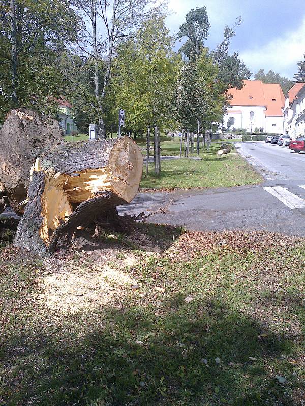 Lípa v důsledku poryvu větru spadla na íčko v Horní Plané.