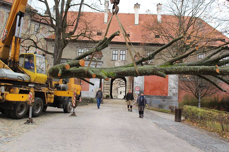 V pondělí nastala v medvědáriu veliká operace - instalace nových kmenů do medvědích výběhů.