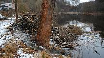 Bobří hrad na levém břehu Vltavy, kousek nad Papouščí skálou.