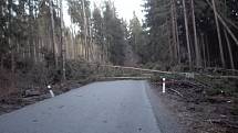 U Střemil na Chvalšinsku zablokovalo silnici několik stromů.