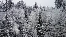 Nedělní sníh u Loučovic