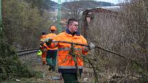 Drážní hasiči na Těchorazu ve Vyšším Brodě odklízeli obrovský smrk, který padl na koleje a přetrhl trakční vedení.