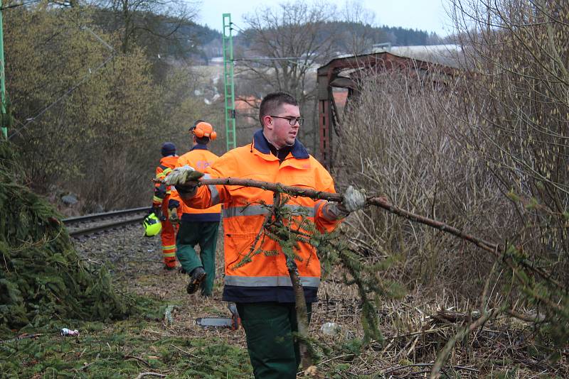 Drážní hasiči na Těchorazu ve Vyšším Brodě odklízeli obrovský smrk, který padl na koleje a přetrhl trakční vedení.