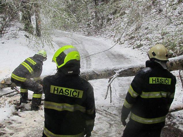 Kapličtí hasiči likvidovali stromy také na silnicích Kaplicka.