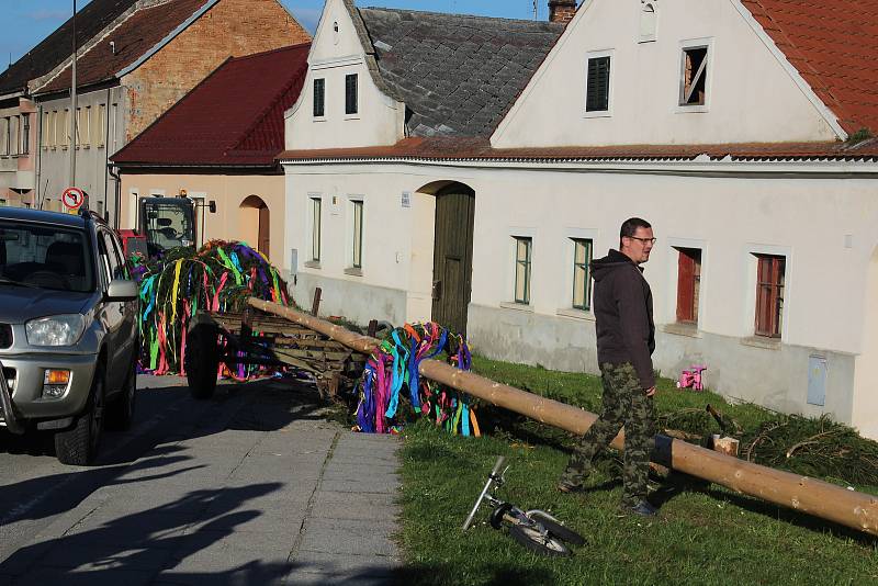 V Besednici stavbu májky na návsi sledovali diváci všeho věku. A mezi nimi i čarodějnice.