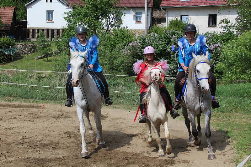 Prezentace koní a jezdců Stáje Pohoda v Dobrkovicích.