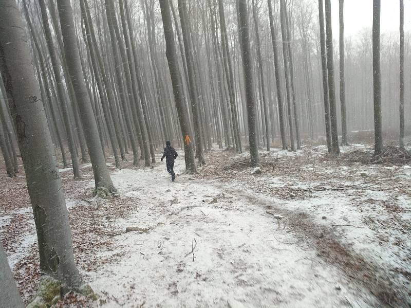 16. ročník výstupu Himálajský medvěd se odehrál v sobotu na Kleti.