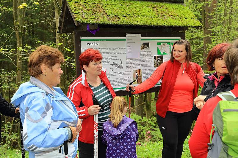 Přátelský pochod Nordic Walking v Benešově nad Černou.