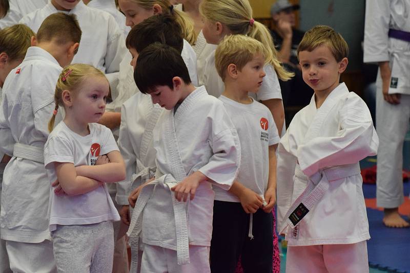 Mikulášský turnaj, poslední z letošní série turnajů Jihočeského svazu japonského karate, pořádal českokrumlovský Shotokan karate klub.