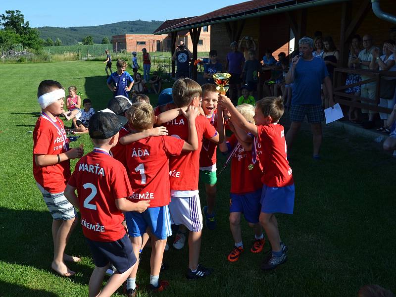 Trofej okresních přeborníků v kategorii mladších přípravek vybojovali v sezoně 2018/19 benjamínci společenství Sokola Křemže a SK Holubov.