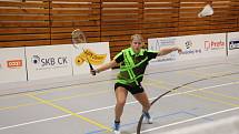 Oblastní badmintonový přebor staršího žactva U15 v Českém Krumlově.