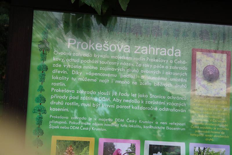 Pracovníci Domu dětí a mládeže v Prokešově zahradě připravili rozmanitá stanoviště s ekologickou tématikou.