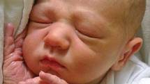 Teodor Vozábal se českokrumlovským rodičům Zuzaně Kalužové a Radku Vozábalovi narodil 24. června 2013 v 17 hodin a 55 minut s mírami 49 centimetrů a 2965 gramů. Tatínek miminka, na které doma čekal tříletý bráška Adam, u porodu nechyběl.