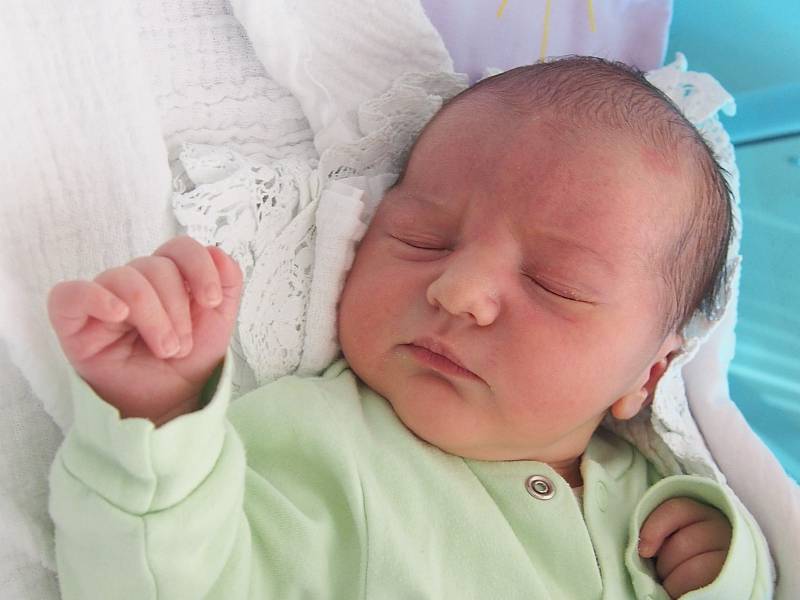 V sobotu 18. května 2019 v 10:24 se narodil rodičům Haně Filipčíkové a Patriku Homolkovi syn Václav Homolka. Chlapeček po narození měřil 54 centimetrů a vážil 4300 gramů. Doma v Lipně nad Vltavou se na svého brášku těšil devítiletý Kuba.