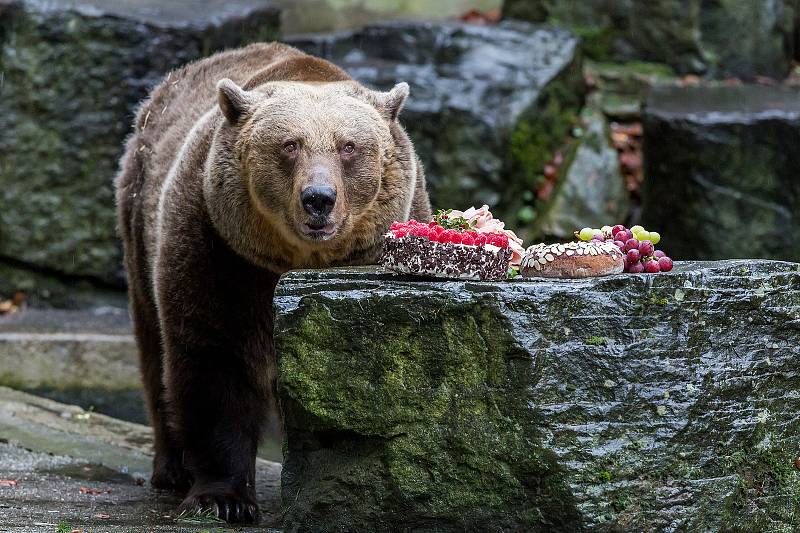 Na obyvatele medvědího příkopu nemohli o Štědrém dni zapomenout obyvatelé Českého Krumlova a okolí.