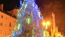 Benešov nad Černou. Potěšte se pohledem na vánoční stromy ve městech a obcích regionu.