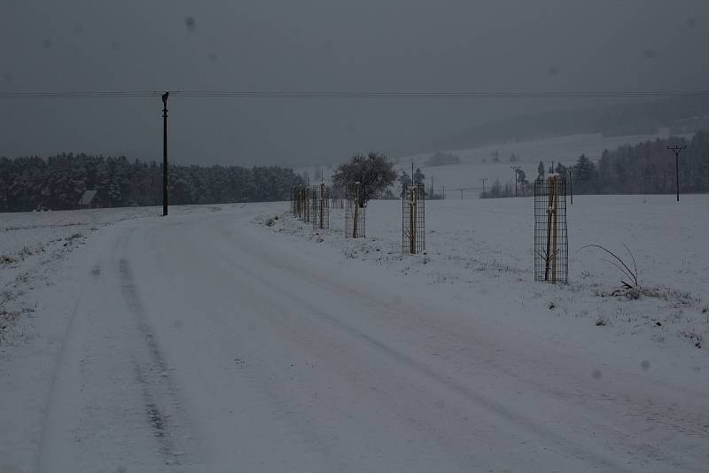 Tak to vypadá po středečním sněžení na Křemežku, v Chlumu, v samotné Křemži, v Holubově, U Zlaté Koruny a krajině pod Kletí, která nad pásem stromů kvůli sněžení a zatažené obloze ani nebyla vidět.