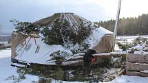 Dobrovolníci likvidovali škody v lesní školce nad Třísovem, kterou v pondělí 10. února 2020 zdemolovala vichřice Sabine.