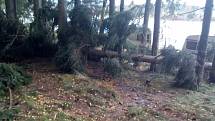 Frymburští hasiči mají za sebou desítky zásahů kvůli spadlým stromům.