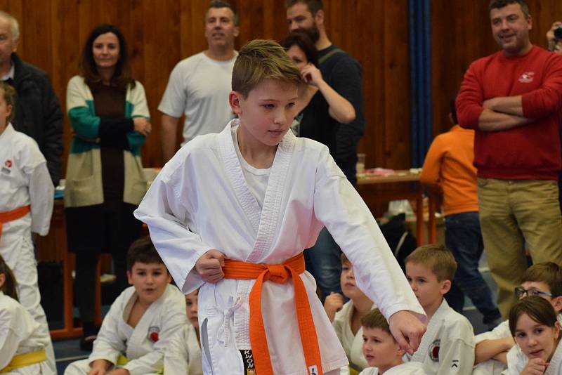 Mikulášský turnaj, poslední z letošní série turnajů Jihočeského svazu japonského karate, pořádal českokrumlovský Shotokan karate klub.