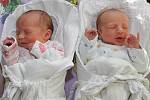Dvojčátka Nikol a Patrik Rulíškovi se Janě Rulíškové z Černé v Pošumaví narodila 12. února 2014. O minutu starší je Patrik (vpravo), který přišel na svět v 8.36 hodin s porodní váhou 2775 g. Nikol (vlevo) je narozena v 8.37 hodin a mírami 46 cm a 2725 g.