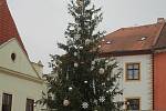 Vánoční strom v Českém Krumlově.