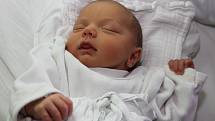 Anežka Fazekašová spatřila světlo světa 12. prosince 2015 v 8 hodin a 9 minut s porodní váhou 3280 gramů. Prvorozená holčička je potomkem větřínských manželů Terezy a Jiřího Fazekašových. Dokud to bylo možné, tatínek u porodu asistoval.