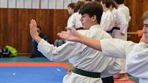 Mikulášský turnaj, poslední z letošní série turnajů Jihočeského svazu japonského karate, pořádal českokrumlovský Shotokan karate klub.