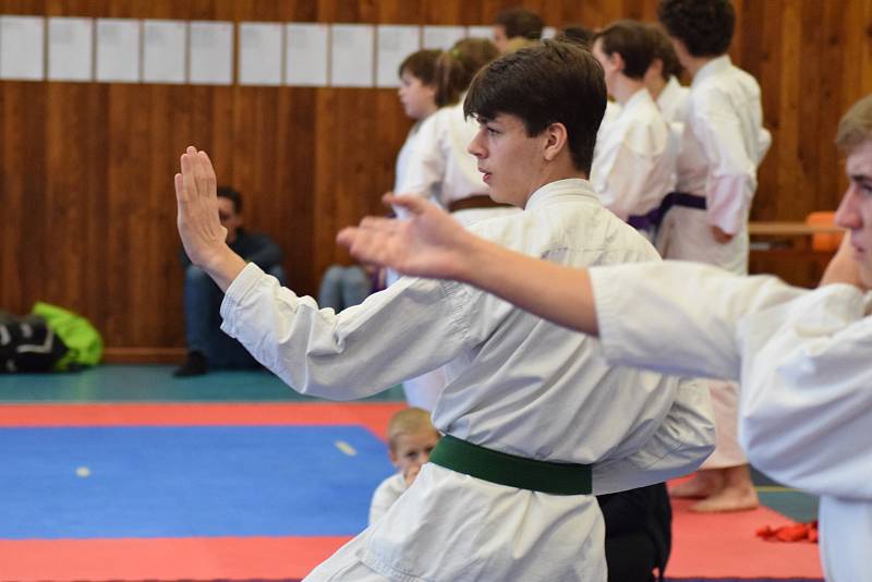 Mikulášský turnaj, poslední z letošní série turnajů Jihočeského svazu japonského karate, pořádal českokrumlovský Shotokan karate klub.