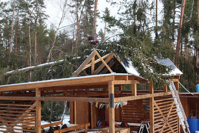 Dobrovolníci likvidovali škody v lesní školce nad Třísovem, kterou v pondělí 10. února 2020 zdemolovala vichřice Sabine.