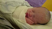 Prvorozená Sofie Zdechovanová se narodila 9. září 2016 v 10:12 rodičům Martině Jakubcové z Českého Krumlova a Janu Zdechovanovi z Přední Výtoně. Porodní míry holčičky byly 50 centimetrů a 3100 gramů. Tatínek u porodu nemohl chybět.
