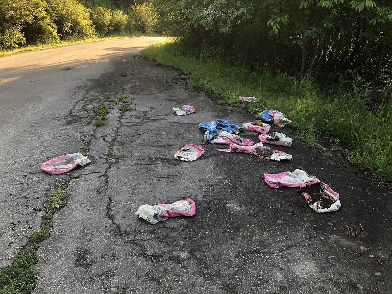 Nebezpečí hrozí těm, kdo vstupují mimo povolené cesty do boletického vojenského prostoru. A někteří civilisté si pletou Boleticko se smeťákem.