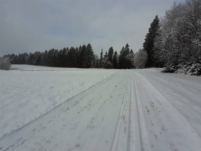 První šumavskou bílou stopu běžkařské sezóny 2021/22 protáhli 28. listopadu ve Frymburku.