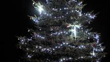 Zvíkov. Potěšte se pohledem na vánoční stromy ve městech a obcích regionu.