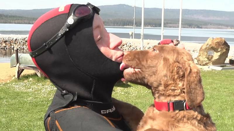 Vodní záchranáři mají nového parťáka: štěně Chesapeake Bay retrievera Queeny.