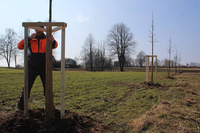 Křižovatka u Velešína porostu dřevin zbavená a výsadba stromořadí na Holkově u Koňské dráhy.