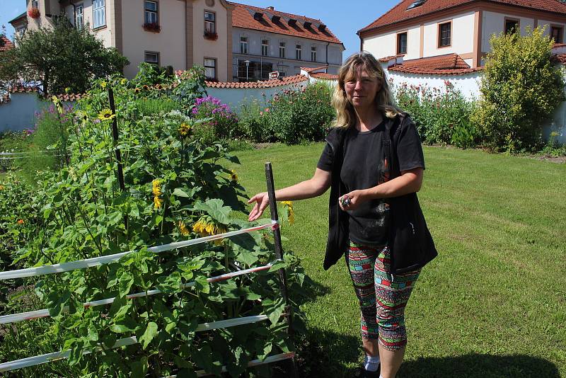 Výstava kvatinových aranžmá ve zlatokorunském klášteře vytvořená z rostlin klášterní zahrady.