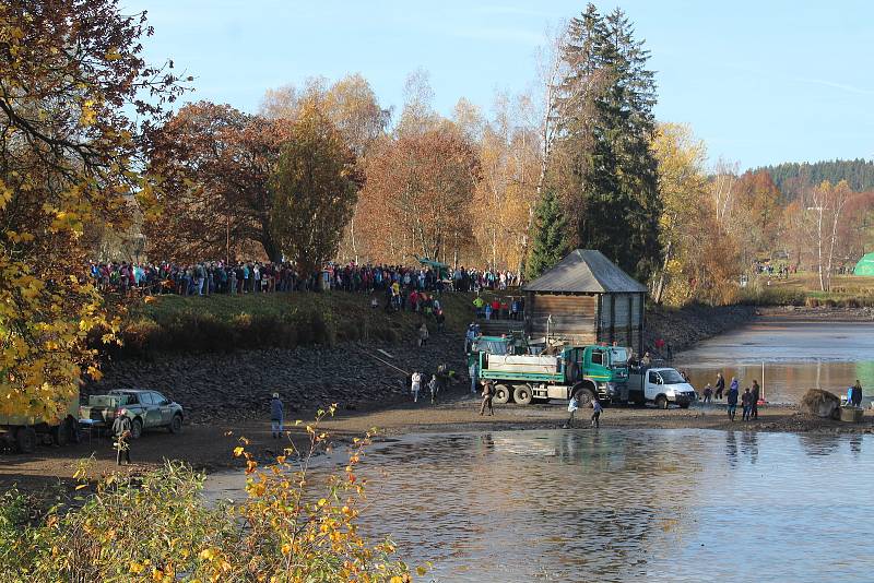 Výlov rybníka Olšina 28. října 2022.