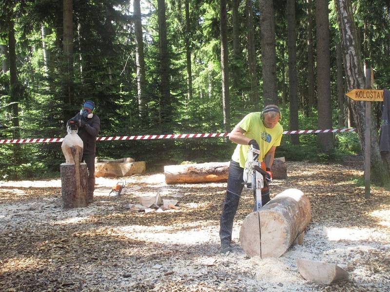 Slavnosti dřeva se konaly u lipenské stezky v korunách stromů.