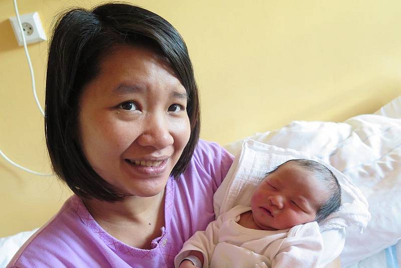 Dinh Duy Dat se jmenuje chlapeček, který se v českokrumlovské porodnici narodil 27. dubna v 9.12 hodin. Měřil 49 cm a vážil 3350 g. Jeho maminka Nguyen Thi Ha a tatínek Dinh Duy Ghinh jsou z Vyššího Brodu. Chlapeček je jejich prvním miminkem.