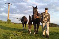 Na snímku Vlastimil Starý junior, Tóga a hřebeček Maximus , v pozadí Troja a hříbě Trojka.