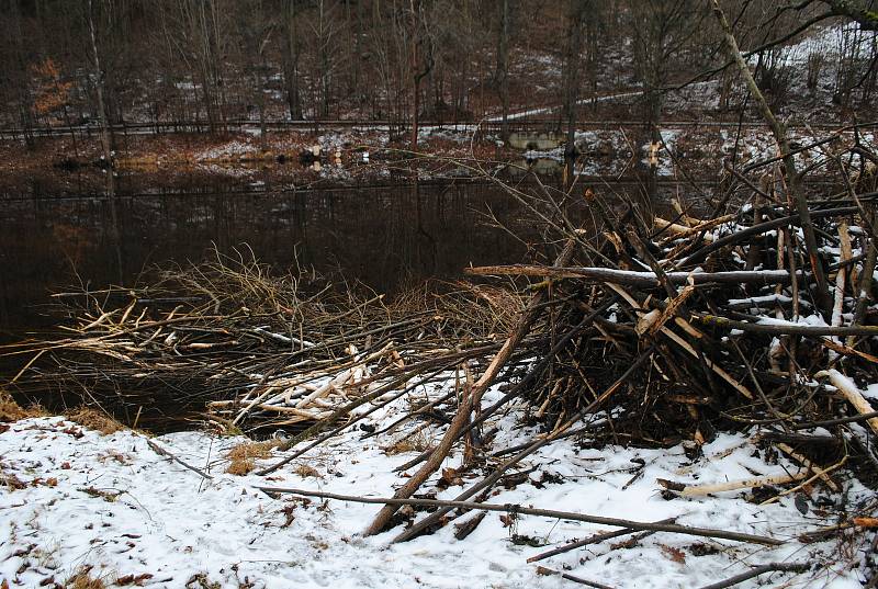 Bobří hrad na levém břehu Vltavy, kousek nad Papouščí skálou.