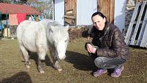 Zápach z chovu miniponíka Berušky na zahradě domu působí zdravotní problémy sousedovi.