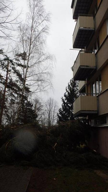 Stromy padaly ve Velešíně ve městě i mimo něj.