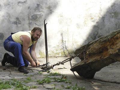 Medvědář Jan Černý při likvidaci jednoho z kmenů.